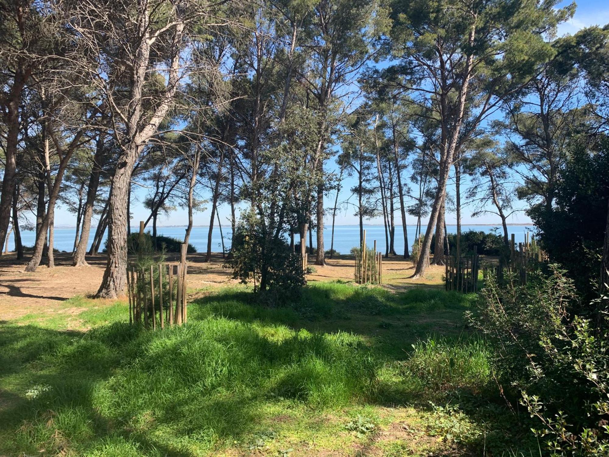 Maison De Plage Frontignan Buitenkant foto